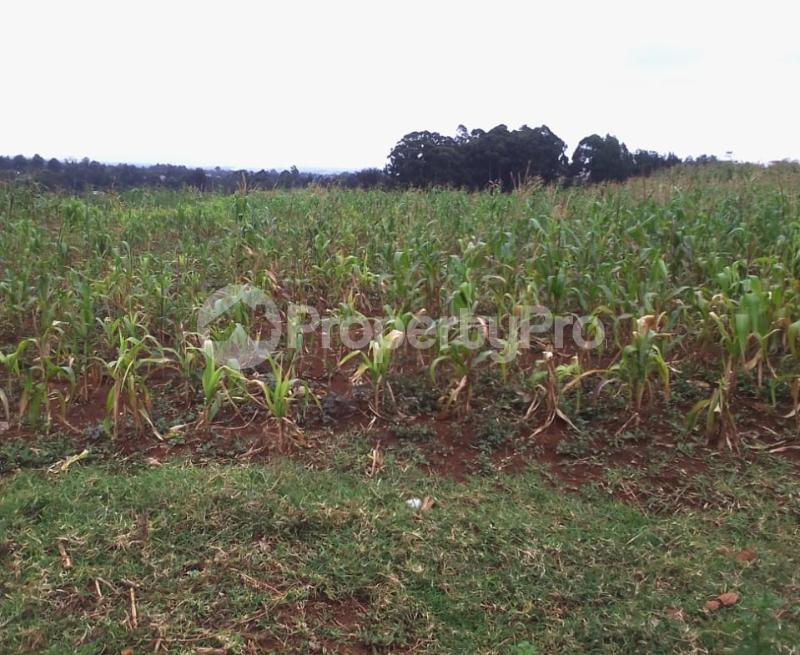 Land for sale Nyari Nairobi
