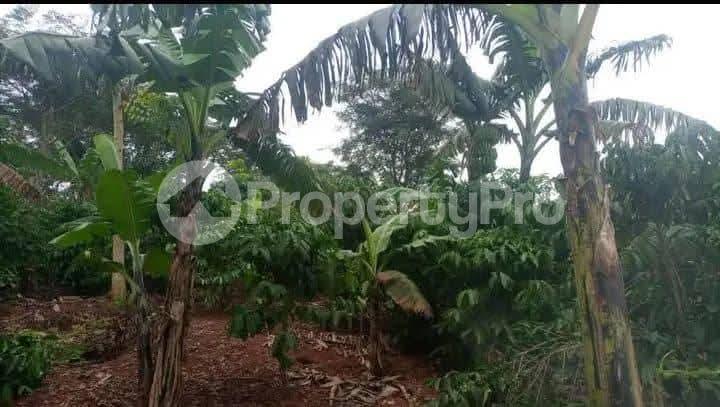Land for sale Semuto  Nakaseke Central - 0