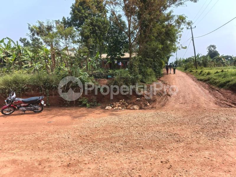 Land for sale Seeta bajjo new road  Goma Mukono Central - 4