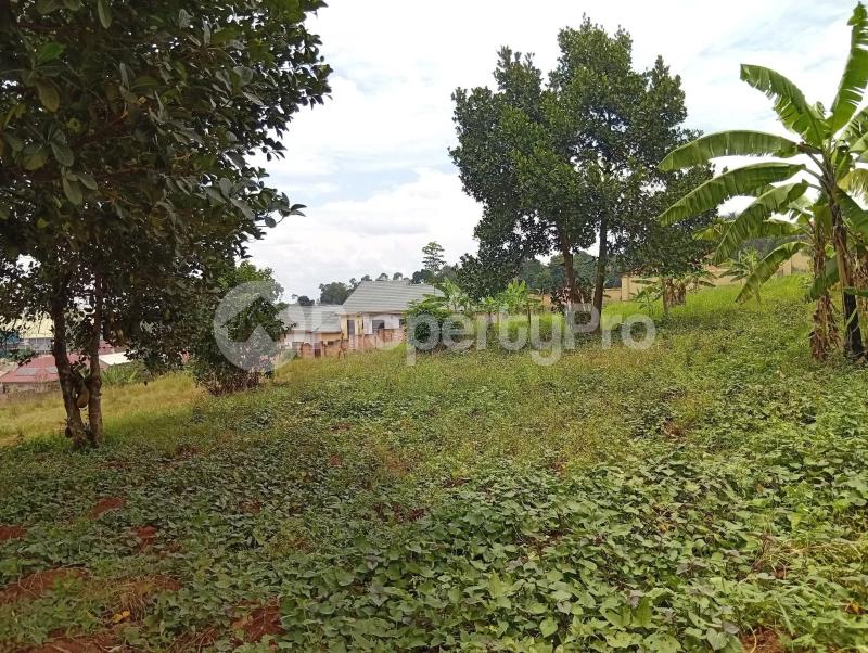 Land for sale Kawempe Tula  Kampala Central Kampala Central - 6