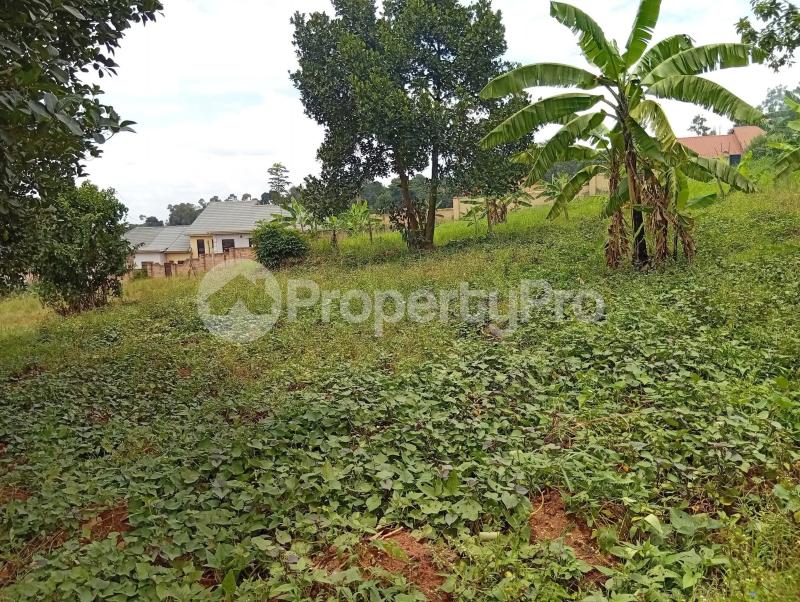 Land for sale Kawempe Tula  Kampala Central Kampala Central - 3