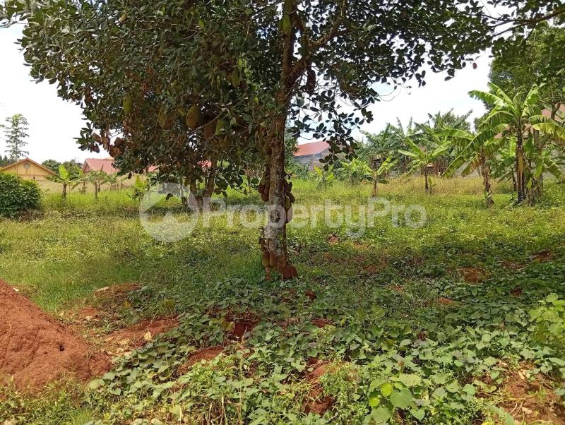 Land for sale Kawempe Tula  Kampala Central Kampala Central - 4