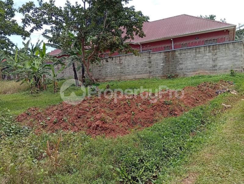 Land for sale Kawempe Tula  Kampala Central Kampala Central - 2