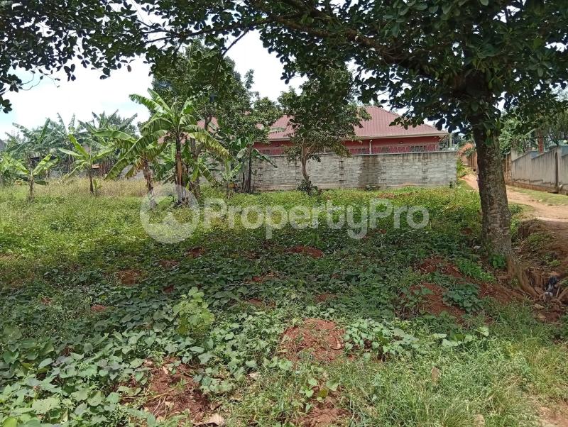 Land for sale Kawempe Tula  Kampala Central Kampala Central - 5
