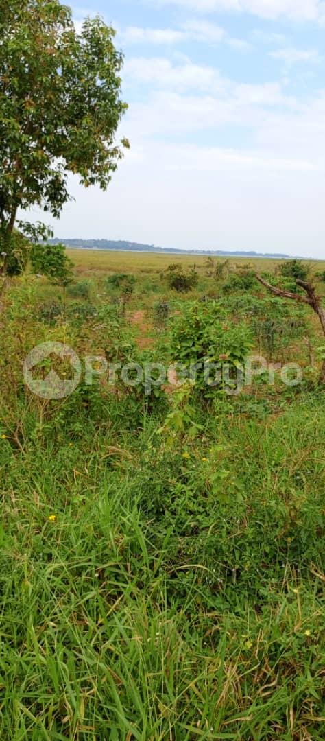 Land for sale Garuga off Entebbe Rd  Kampala Central Kampala Central - 3
