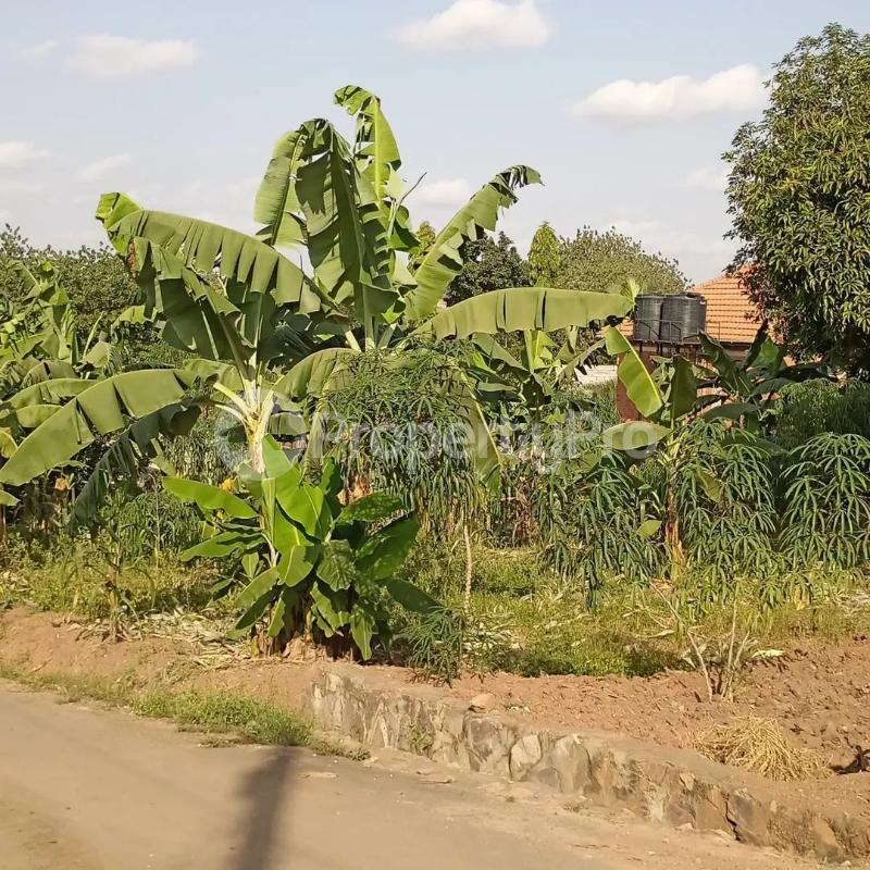 Land for sale Mbalwa  Kira Wakiso Central - 1