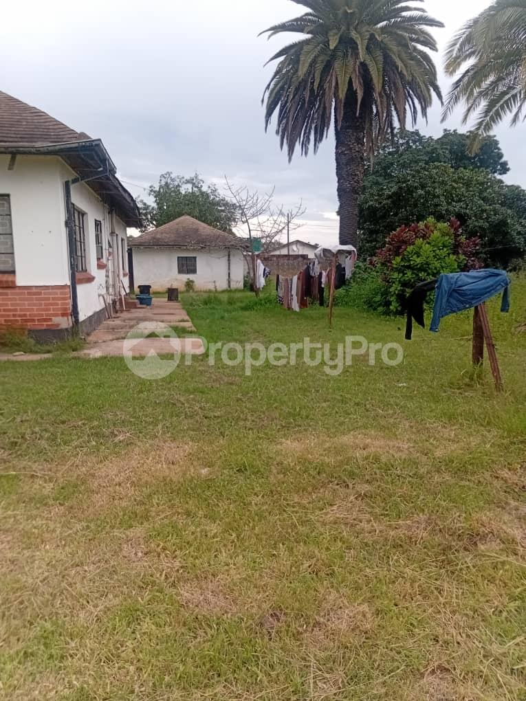 3 bedroom Houses for sale Woodville Bulawayo Woodville Bulawayo North Bulawayo - 16