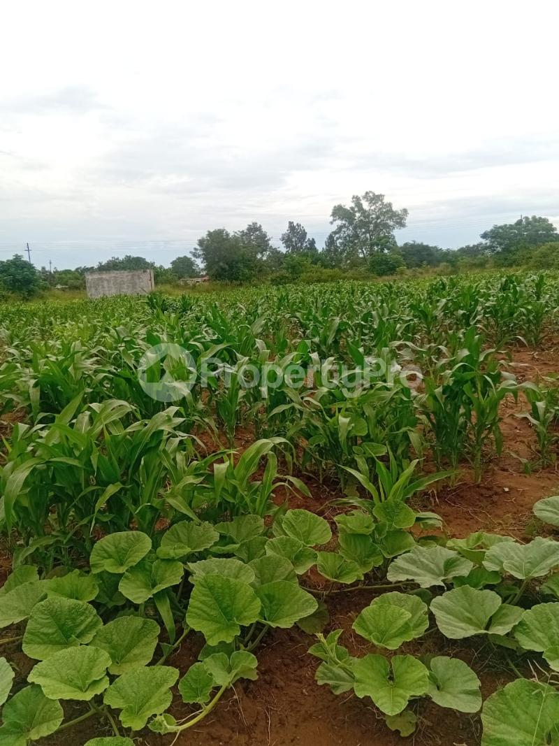 3 bedroom Houses for sale Woodville Bulawayo Woodville Bulawayo North Bulawayo - 9