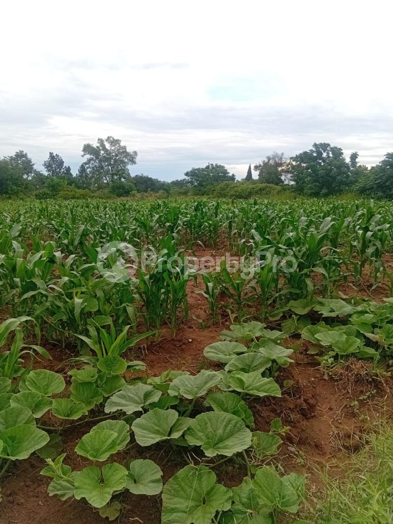 3 bedroom Houses for sale Woodville Bulawayo Woodville Bulawayo North Bulawayo - 10