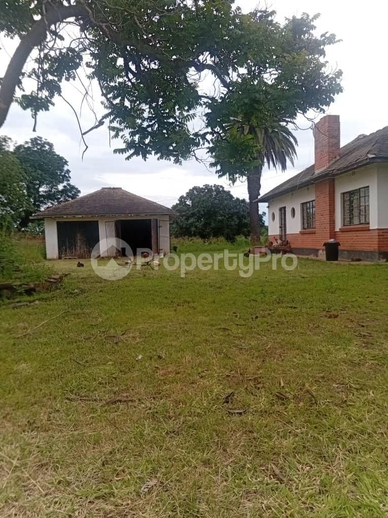 3 bedroom Houses for sale Woodville Bulawayo Woodville Bulawayo North Bulawayo - 15