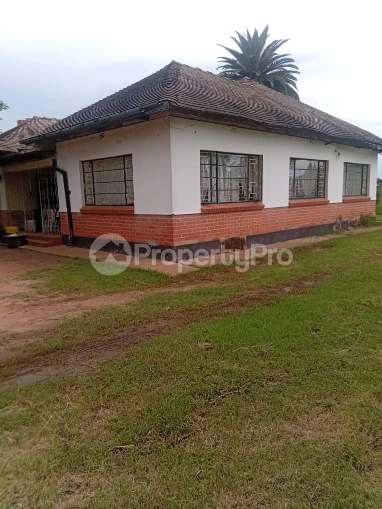 3 bedroom Houses for sale Woodville Bulawayo Woodville Bulawayo North Bulawayo - 17