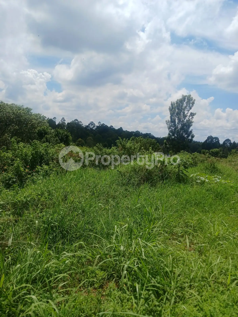 Land for sale Loresho Nairobi
