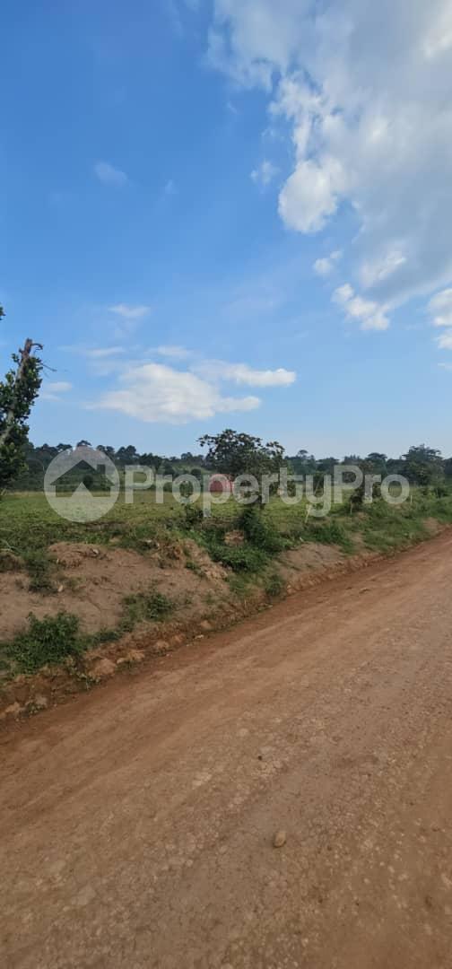 Land for sale Katosi Buikwe Central