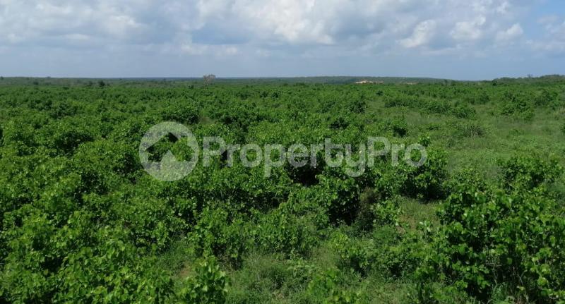 Land for sale Malindi Kilifi