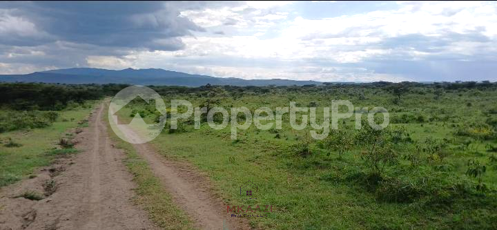Land for sale Naivasha East Nakuru