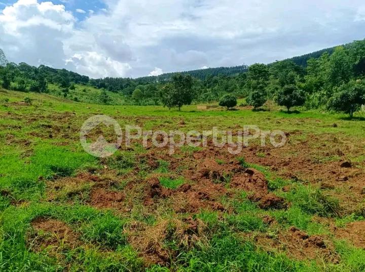 Commercial Property for sale Mukono katosi road  Mukono Mukono Central - 1