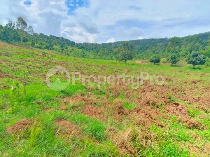 Commercial Property for sale Mukono katosi road  Mukono Mukono Central - 0