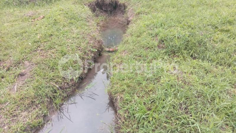 Land for sale Nakiwate, Nakifuma Subcounty, Mukono District  Mukono Mukono Central - 4
