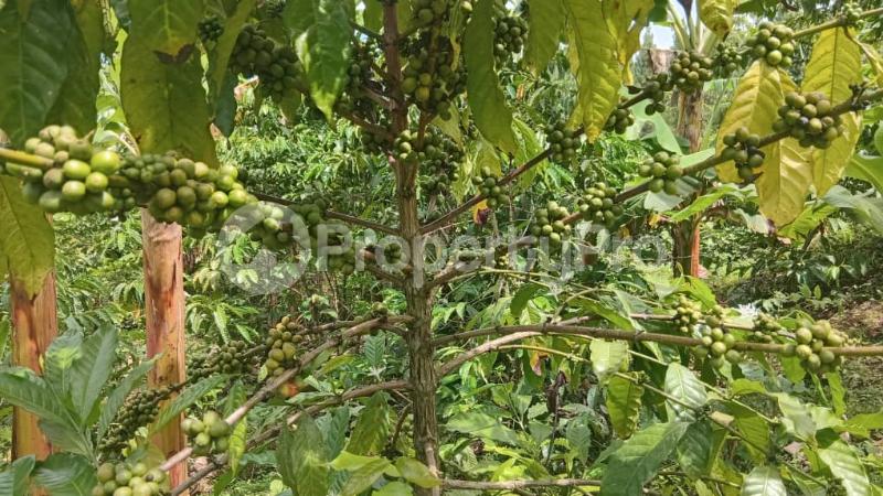 Land for sale Nakiwate, Nakifuma Subcounty, Mukono District  Mukono Mukono Central - 1