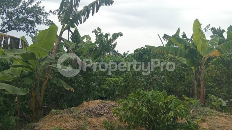 Land for sale Nakiwate, Nakifuma Subcounty, Mukono District  Mukono Mukono Central - 3
