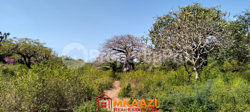 Land for sale Malindi Kilifi