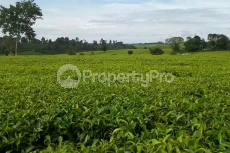 Land for sale Limuru Central Kiambu