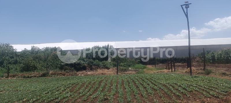 Land for sale Kabuku Tigoni Limuru