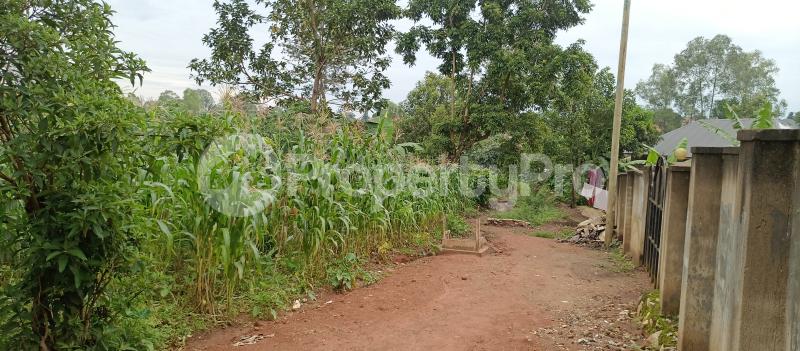 Land for sale Namugongo sonde town  Goma Mukono Central - 3