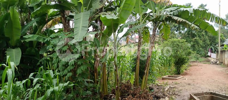 Land for sale Namugongo sonde town  Goma Mukono Central - 5