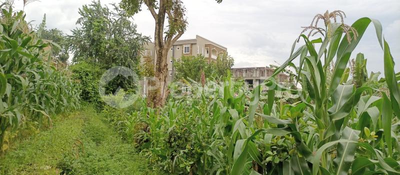 Land for sale Namugongo sonde town  Goma Mukono Central - 4