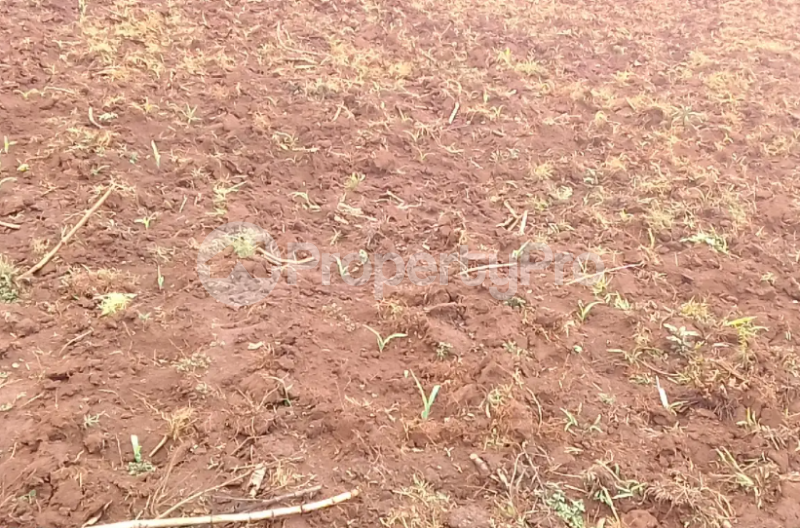 Land for sale Iganga Eastern - 2