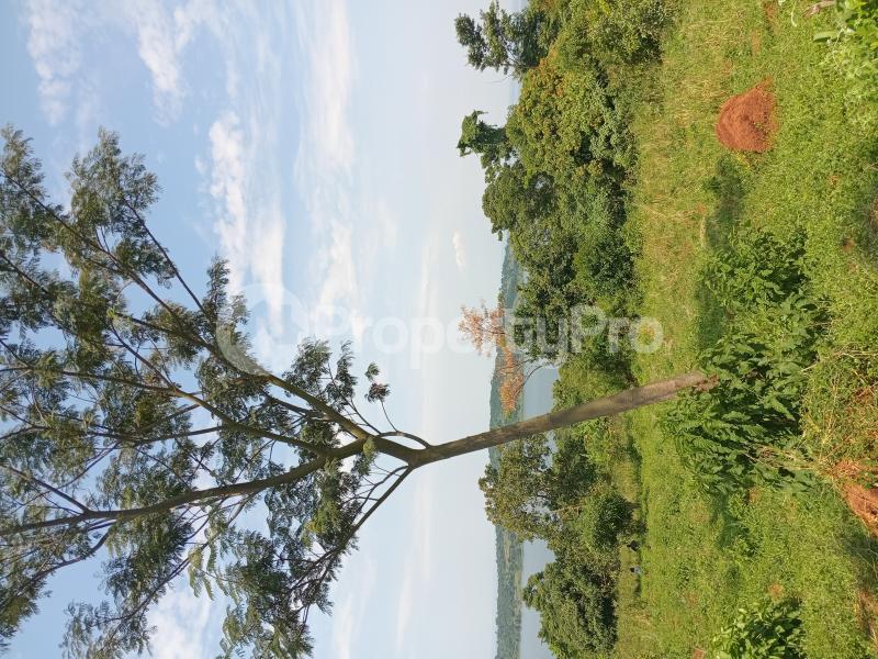 Land for sale Nkokonjeru katosi road  Mukono Mukono Central - 0
