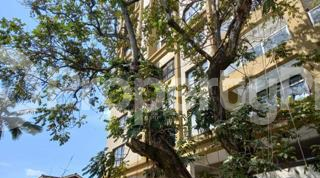 Flat&Apartment for rent Westlands Nairobi