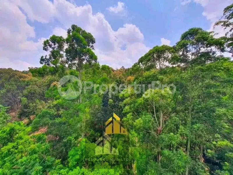 3 bedroom Flat&Apartment for sale Westlands Nairobi