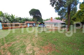 Houses for rent Thogoto Kikuyu