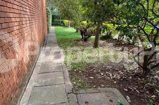 Houses for rent Kileleshwa Nairobi