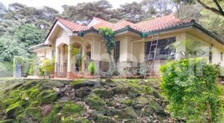 Houses for rent Karen Nairobi