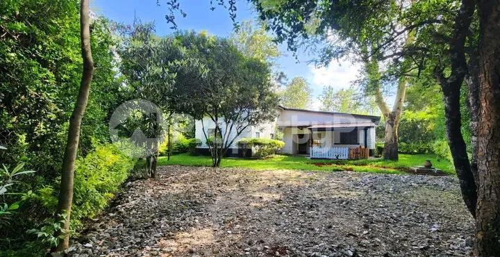 Houses for rent Karen Nairobi