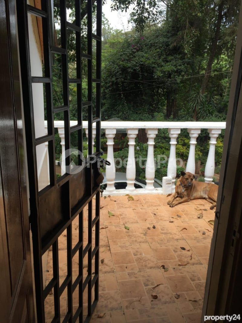 Houses for rent Chalbi Drive, Lavington Nairobi