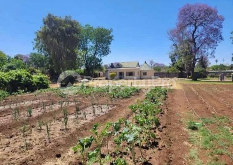 3 bedroom Houses for sale Bellevue , Bulawayo  Bellevue Bulawayo South Bulawayo - 4