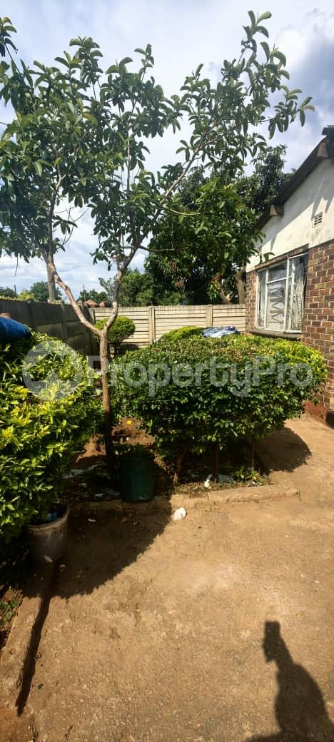 3 bedroom Houses for sale Nkulumane 5, Bulawayo Nkulumane Bulawayo High-Density Bulawayo - 6