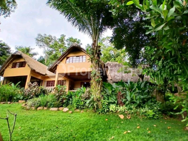 3 bedroom Apartment Block Apartment for rent Jinja Wakisi  Bugembe Jinja Eastern - 0