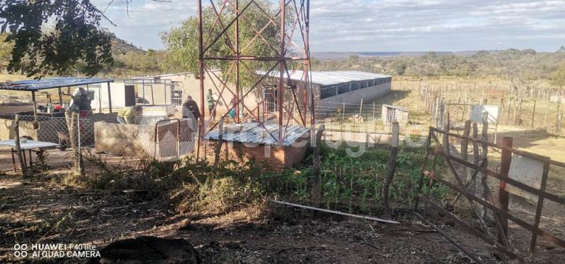 Farm & Agricultural land Land for sale Mbuyazwe Area, Before Nyamandlovu Umguza Matabeleland North - 0