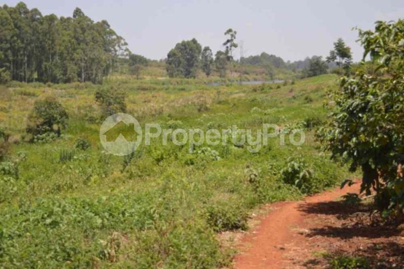 Land for sale Runda Nairobi