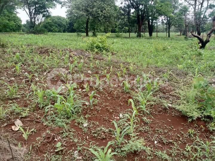 Agricultural Land for rent Rongai Nakuru