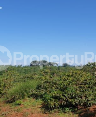 Land for sale Ruiru Kiambu