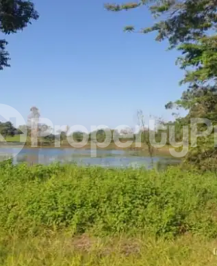 Land for sale Ruiru Kiambu