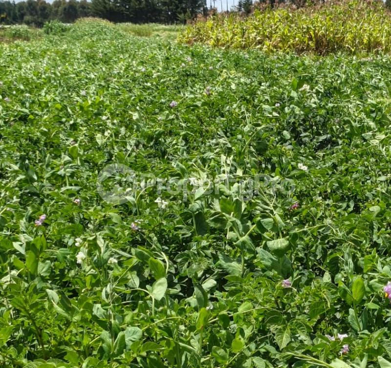 Agricultural Land for sale Laikipia Laikipia - 0
