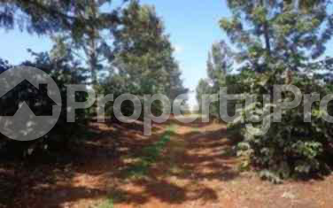 Land for sale Ruiru Kiambu