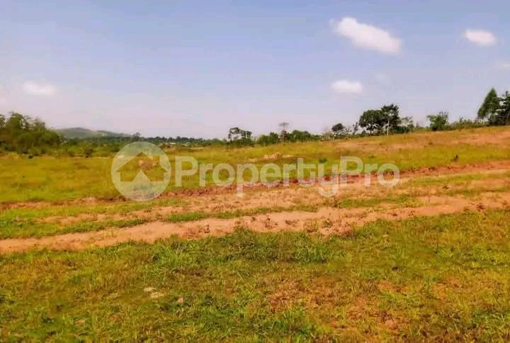 Land for sale Nakasanjja  Gayaza Wakiso Central - 3